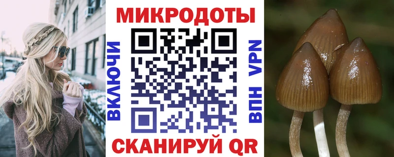 Галлюциногенные грибы MAGIC MUSHROOMS  Купить где  Байкальск 